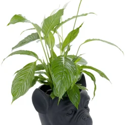 Fashion Bloempot Bulldog Zwart Opbergers|Tuinmeubelen