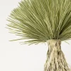 Discount Deco Plant Yucca Rostrata 240cm Woondecoratie|Kasten