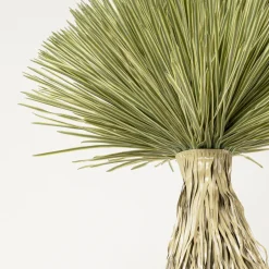 Discount Deco Plant Yucca Rostrata 240cm Woondecoratie|Kasten