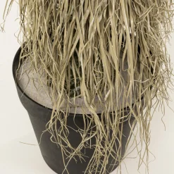 Discount Deco Plant Yucca Rostrata 240cm Woondecoratie|Kasten