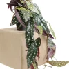 Discount Decoplant Begonia 45cm Kasten|Tuinmeubelen
