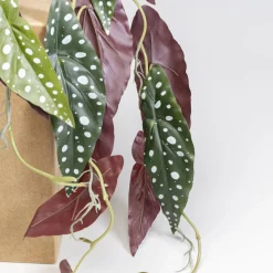 Discount Decoplant Begonia 45cm Kasten|Tuinmeubelen