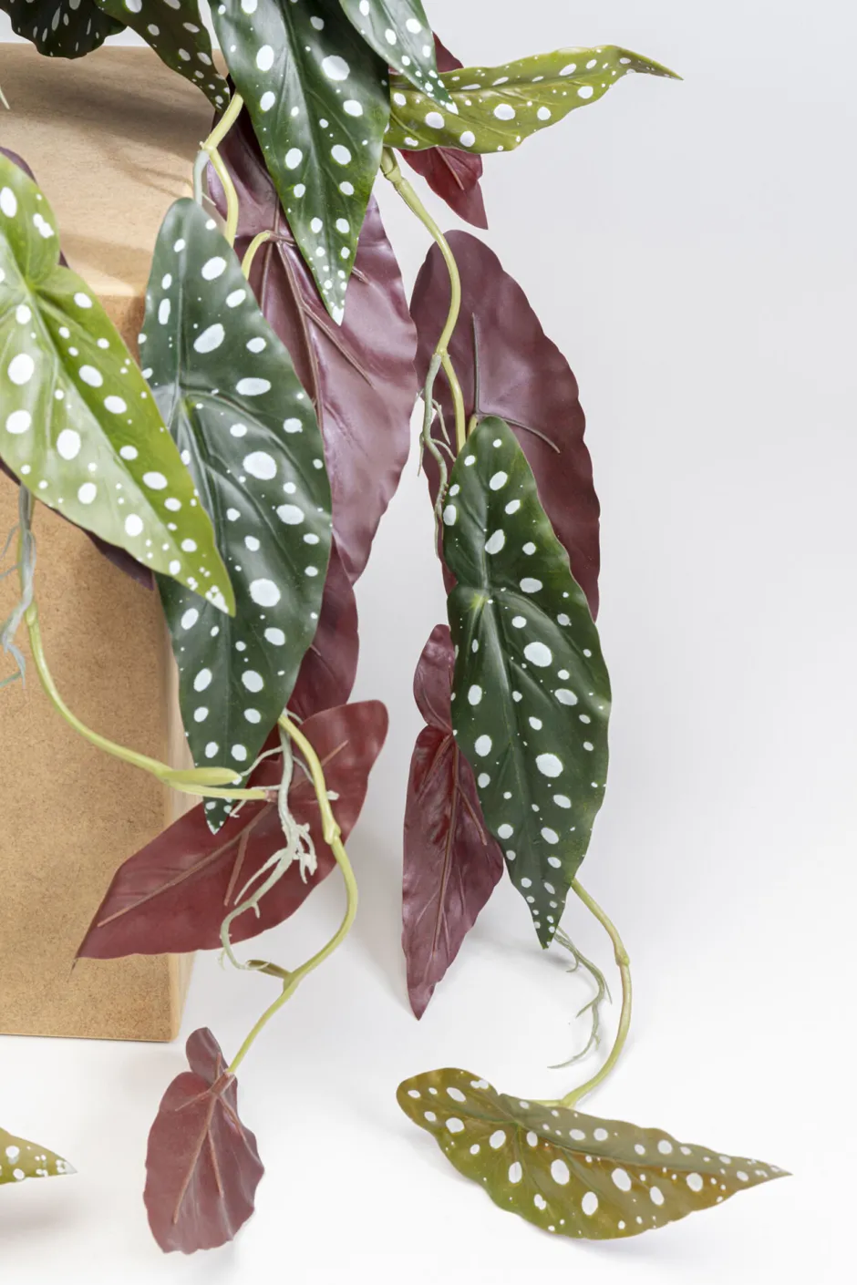 Discount Decoplant Begonia 45cm Kasten|Tuinmeubelen