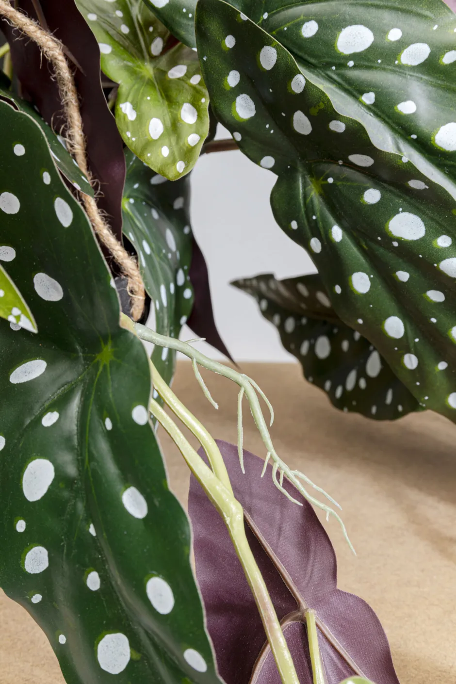 Discount Decoplant Begonia 45cm Kasten|Tuinmeubelen