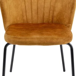 Fashion Eetkamerstoel Cathy Amber Kasten|Stoelen