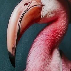 Cheap Glas Schilderij Mister Flamingo 120x160cm Wanddecoratie|Kasten