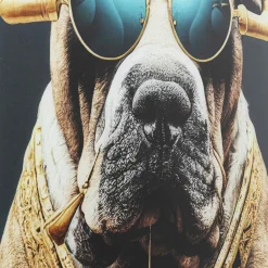 Discount Glasschilderij Fashion Dog 60x80cm Wanddecoratie|Tuinmeubelen