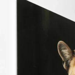 Hot Glasschilderij Mister Leo 100x150cm Wanddecoratie|Tuinmeubelen