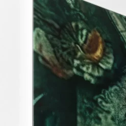 Cheap Glasschilderij Mister Lion 150x100cm Wanddecoratie|Kasten