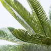 Store Kunstplant Cycas Boom 78cm Woondecoratie|Kasten
