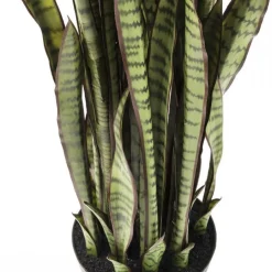Cheap Kunstplant Sansevieria 155cm Woondecoratie|Kasten
