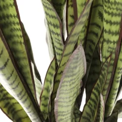 Cheap Kunstplant Sansevieria 155cm Woondecoratie|Kasten