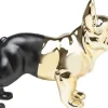 Discount Spaarpot Bulldog Goud-Zwart Woondecoratie|Kasten