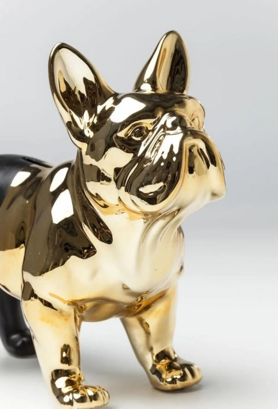 Discount Spaarpot Bulldog Goud-Zwart Woondecoratie|Kasten