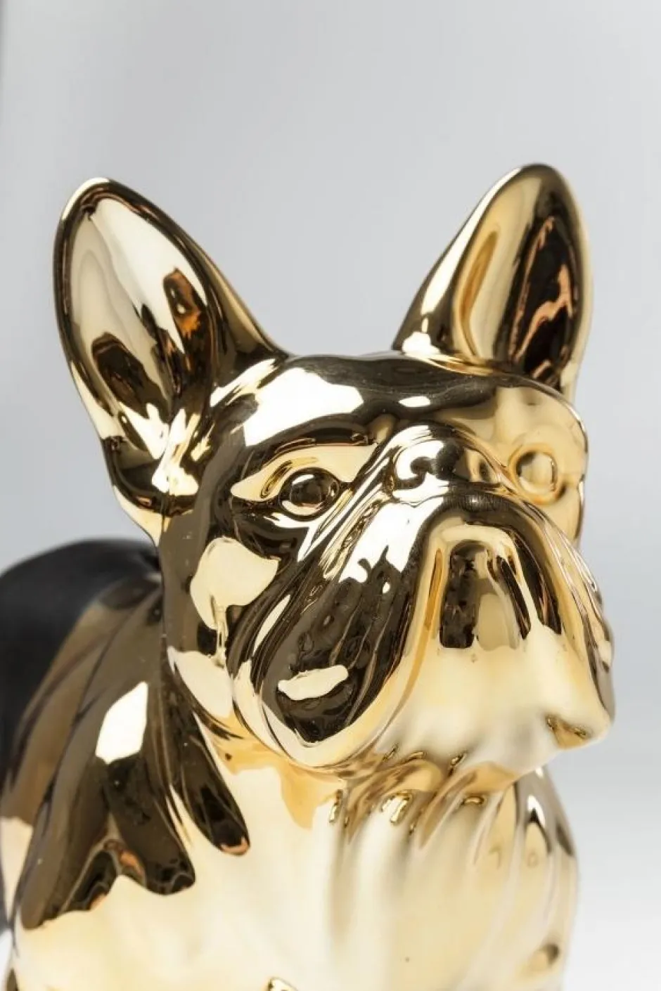 Discount Spaarpot Bulldog Goud-Zwart Woondecoratie|Kasten