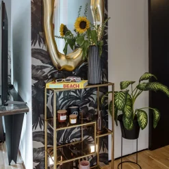 Best Spiegel Hologram Goud 68x117cm Spiegels|Kasten