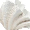 Cheap Vaas Concha 57cm Woondecoratie|Kasten