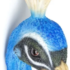 Hot Wanddecoratie Peacock Wanddecoratie|Kasten
