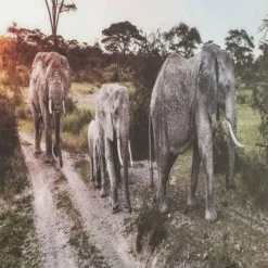 Clearance Wandfoto Glass Elephant Family Wanddecoratie|Kasten