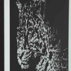 Clearance Wandfoto Leopard 80x80cm Wanddecoratie|Kasten